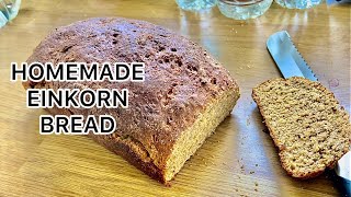 HOW TO MAKE EINKORN BREAD  ANCIENT GRAIN  SDA COUNTRY LIVING [upl. by Elleirad]