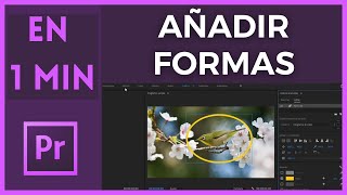 🟢 🟩Como Añadir Círculos Rectángulos o Cuadrados a un Video en Adobe Premiere Tutorial 🟩 🟢 [upl. by Niret]