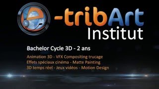 Inscription Cycle 3D Bachelor 2016  école 3D en ligne etribArt [upl. by Rigby880]