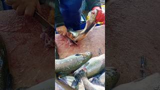 Filleting trout at a fish market fishcutting [upl. by Bough]