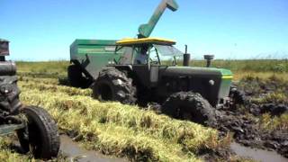 cosecha de arroz en corrientes [upl. by Bonns595]