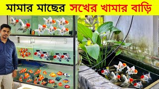 মামার শখের মাছের খামার 🐠Aquarium Price In Bangladesh🐠Aquarium Fish Price In Bangladesh 2024 [upl. by Bryce]