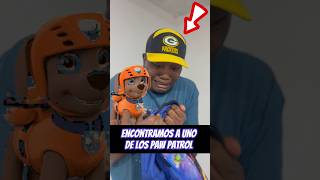 Encontramos a uno de los paw patrol 😱😱 [upl. by Florie339]