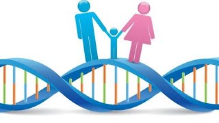 Biologiya Endi Genetika oson 1dars Mendelning birinchi va ikkinchi qonuni [upl. by Lodi]