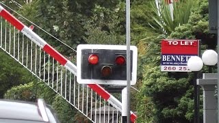 Level Crossing at Sandymount Station  IE 8300 Class Dart Train [upl. by Anaidni]