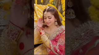 kesariya Tera Ishq hai Piya Arijit Singh songshorts [upl. by Knowland399]