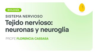 Tejido nervioso Neuronas y neuroglia  Biología  Sistema Nervioso  V3  Egg Educación [upl. by Rukna667]