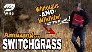 The Power Of Switchgrass [upl. by Jeanna]