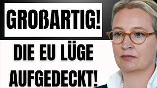 Alice Weidel legt riesige LÜGEN über die EU in Rede offen [upl. by Esinaj]