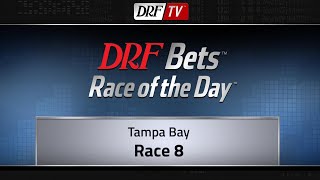 Friday Race of the Day  Tampa Bay Race 8  March 23 [upl. by Kizzie]