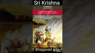 Bhagavad Gita in Kannada and English Chapter 9 and Verses 3 [upl. by Akemal880]