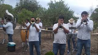 BANDA PALOMA DE GUASAVE SINALOA CANCION EL TROQUERO CELULAR 6871176144 [upl. by Perzan]