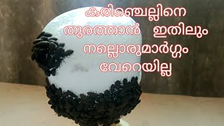 കരിഞ്ചെല്ലിനെ തുരത്താന്‍ ചെല്ല് ശല്യം മുപ്ളി വണ്ട് ശല്യം ഒഴിവാക്കാം [upl. by Namso616]