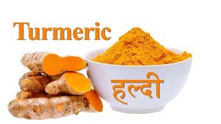 हल्दी  Turmeric  the wonder spice [upl. by Flory]