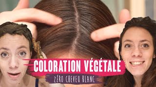 CHEVEUX BLANCS ET COLORATION VÉGÉTALE  MES ASTUCES [upl. by Nauqel]