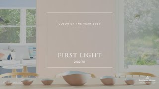 Color of the Year and Color Trends 2020  Benjamin Moore [upl. by Llennhoj]