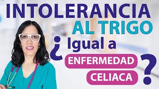 CAP 15 INTOLERANCIA AL TRIGO Y ENFERMEDAD CELIACA ¿ ES LO MISMO [upl. by Attey]