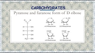 Pyranose and furanose form of Dribose [upl. by Nylatsyrc21]