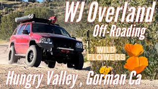 OffRoading in Hungry Valley Gorman Ca [upl. by Vinia]