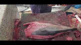 Salmon Fish Filleting Skilla।। King Salmon Cutting Skill।। Salmon Fish Cutting Expert [upl. by Stanislaus]