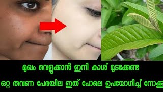 മുഖം വെളുക്കാനും തിളങ്ങാനും ക്ലിയർ സ്കിന്നിനും പേരയില ഒറ്റ തവണ ഇത് പോലെ ഉപയോഗിക്കൂ [upl. by Matilda]