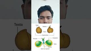 Fundamental defferens bw monocot Dicot seeds biology [upl. by Aicinet218]