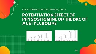 Potentiation effect of Physostigmine on the DRC of AcetylcholinePart1 [upl. by Dimphia]