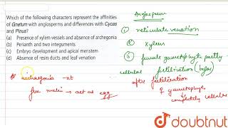 Which of the following characters represents the affinities of Gnetum with angiosperms and [upl. by Reehsab]
