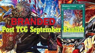 NEW BRANDED deck Sep2024  Post TCG Banlist [upl. by Rolat326]