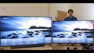 LG C8 OLED vs Samsung Q9FN QLED 2018 TV Comparison [upl. by Elisha]