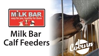 Milk Bar Calf Feeders [upl. by Yretsym]