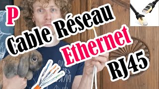 Câble Réseau Ethernet RJ45  Explication sur ce câble réseau  Catégorie  VDI  POE  Polybidouille [upl. by Collete]