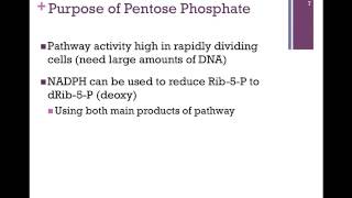 098Pentose Phosphate Pathway [upl. by Silvanus]