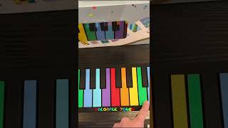 6035This rollup piano is perfect for kids 🎹 [upl. by Gnot938]