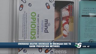 UP health professionals respond to overdose death rate decrease in Michigan [upl. by Cud]