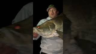 Big Barramundi 113 Awoonga Dam horse September 2023 barra barramundi lakeawoonga awoongdam huge [upl. by Dnomad]