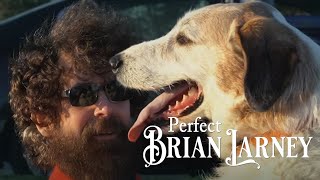 Brian Larney  Perfect Official Music Video [upl. by Ynoep]