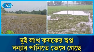 শেরপুরে আকস্মিক বন্যায় কৃষি খাতের ব্যাপক ক্ষয়ক্ষতি  Flood in Sherpur  Rtv News [upl. by Namhar]