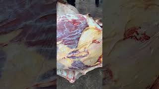 Fresh beef meat everyday  Cutting meat beef Meat 13 [upl. by Dulcle]