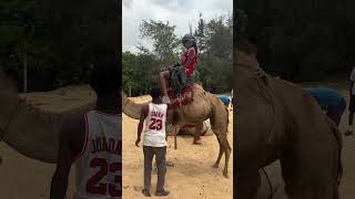 PINK LAKE SENEGAL 🇸🇳 with my travellers who come from Belgium 🇧🇪 visitsenegal tripsenegal [upl. by Collie]