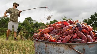 Catching CRAWFISH the OLD SCHOOL Way Catch and Cook [upl. by Quincy]