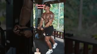 Build Your Chest With These 5 Exercises 3D chestworkout shorts [upl. by Esac448]