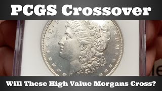 PCGS Crossover  Will These High Value Morgans Cross NGC amp ANACS to PCGS [upl. by Ennahgiel]