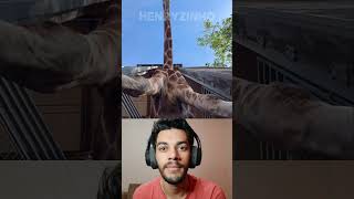 ESSAS GIRAFAS SÃO INCRÍVEIS🦒🧐 react [upl. by Lagasse]