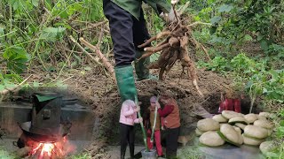 Harvest cassava roots and make cassava cakes  Rural Life Vlog  Nông Thị Minh [upl. by Elvera562]