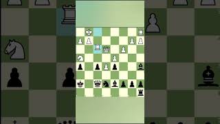 Brilliant King Save 🤫 chess chessgame viralvideo [upl. by Cleaves469]