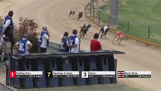 Gawler01122023Race7 [upl. by Didi314]