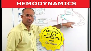 Hemodynamics  Circulatory System Physiology [upl. by Sadnak]