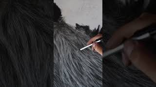 Drawing realistic fur using the indentation technique full tutorial on my channel realisticdrawing [upl. by Clayborn488]