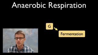 Anaerobic Respiration [upl. by Adiraf]